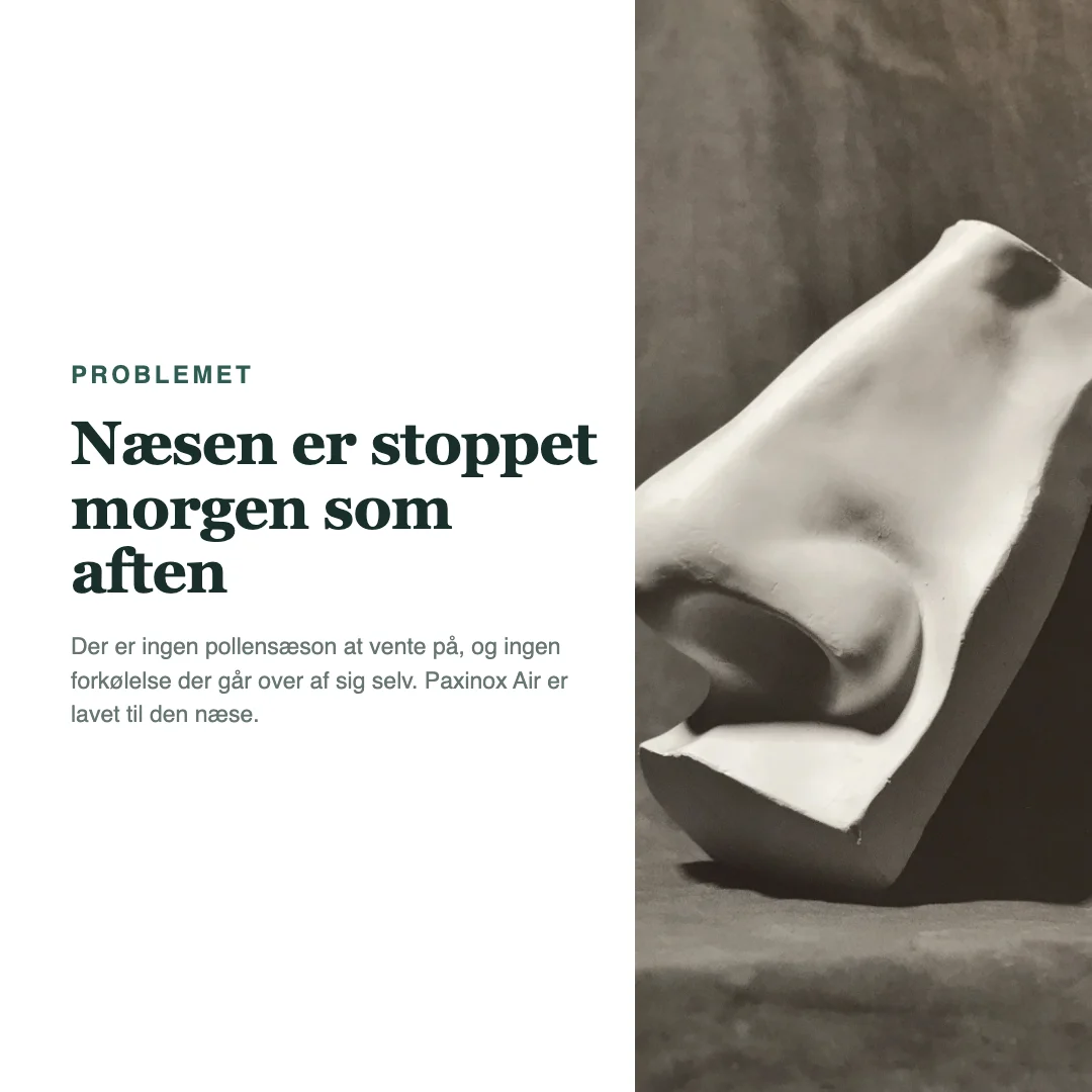 Helårssnue er hverken pollen eller forkølelse